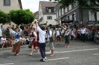 IMG_6395 (2) 